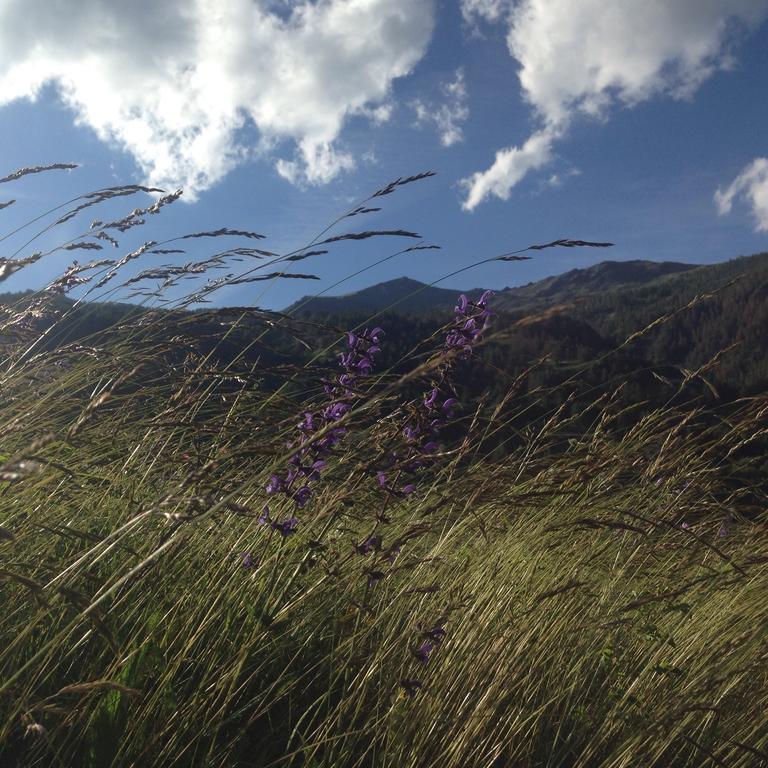 Casa Del Re Lägenhet Pragelato Exteriör bild